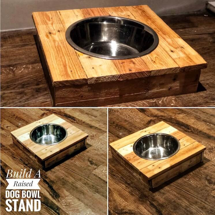 Raised Dog Bowls DIY
 11 Creative DIY dog bowl ideas for your pet