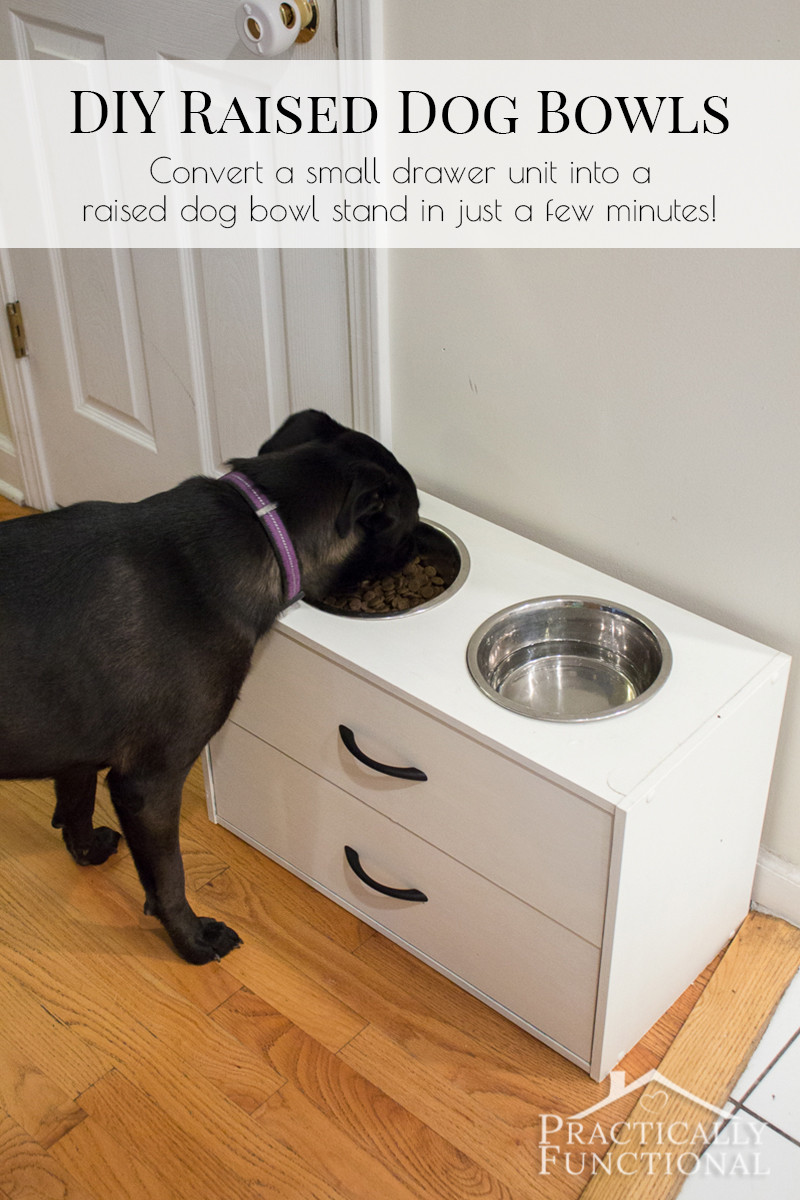 Raised Dog Bowls DIY
 DIY Raised Dog Bowl Stand