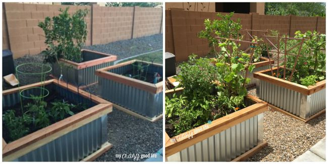 Raised Garden Boxes DIY
 DIY Raised Garden Beds with Corrugated Metal