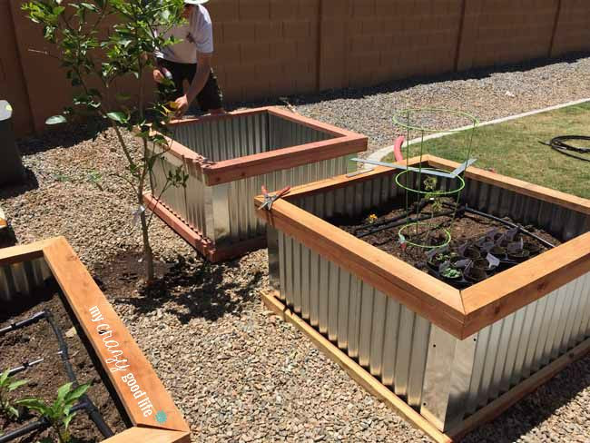 Raised Garden Boxes DIY
 DIY Raised Garden Beds with Corrugated Metal