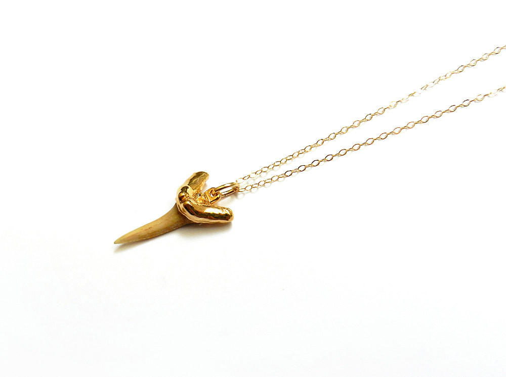 Real Shark Tooth Necklace
 Items similar to Real Shark Tooth Necklace Gold Dipped