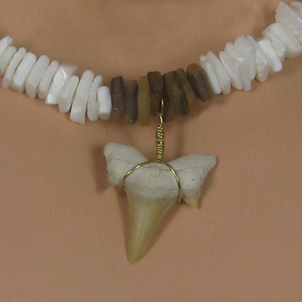 Real Shark Tooth Necklace
 Real Fossil Shark Tooth Necklace
