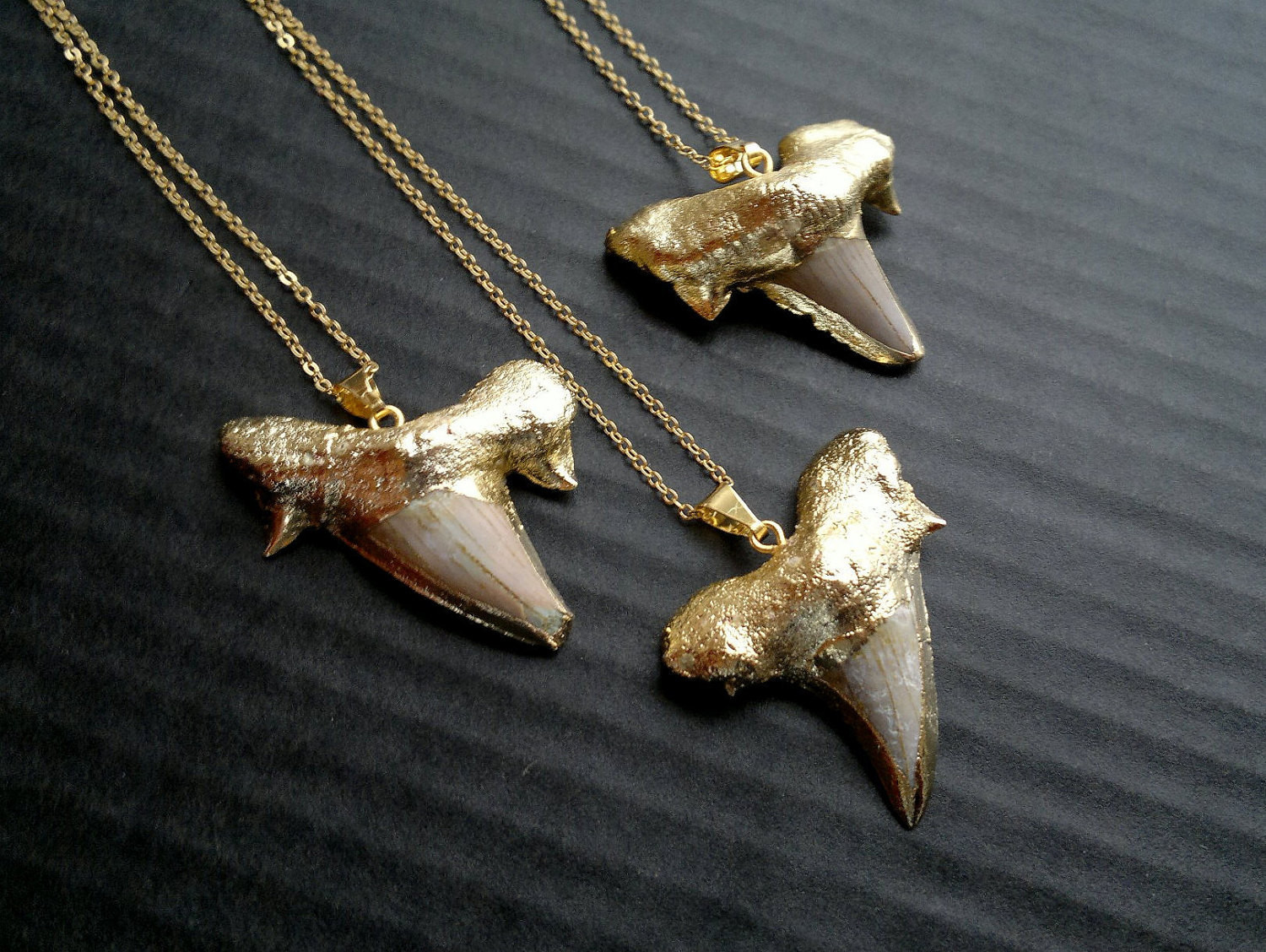Real Shark Tooth Necklace
 Gold Plated Shark Tooth Necklace Real Shark Tooth Jewelry Gold