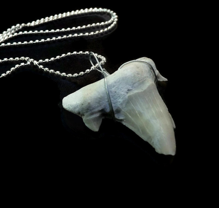 Real Shark Tooth Necklace
 Real Shark Tooth Necklace 19 chain Pendant Uni by lyrisgems