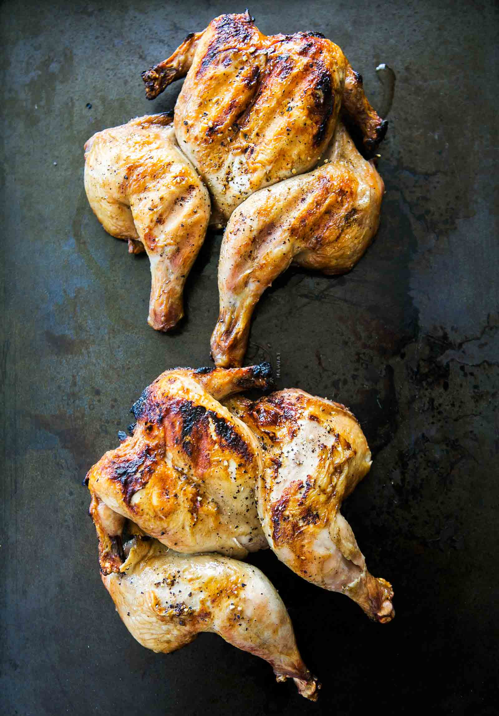 Recipe Cornish Game Hens
 Grilled Cornish Game Hens Recipe