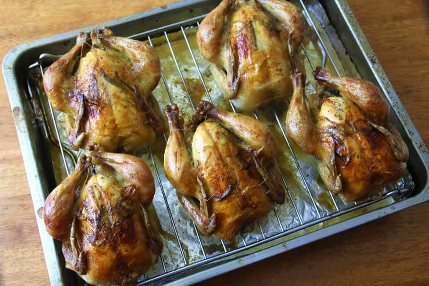 Recipe Cornish Game Hens
 Roasted Cornish Game Hens with Garlic Herbs and Lemon