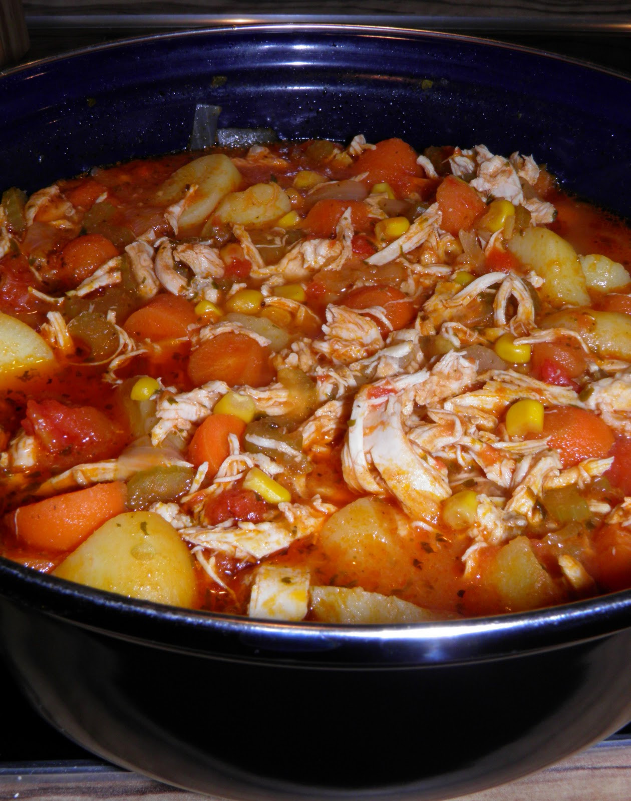 Recipe For Chicken Stew With Vegetables
 Anna s Cooking Adventure Ve able Stew with Chicken