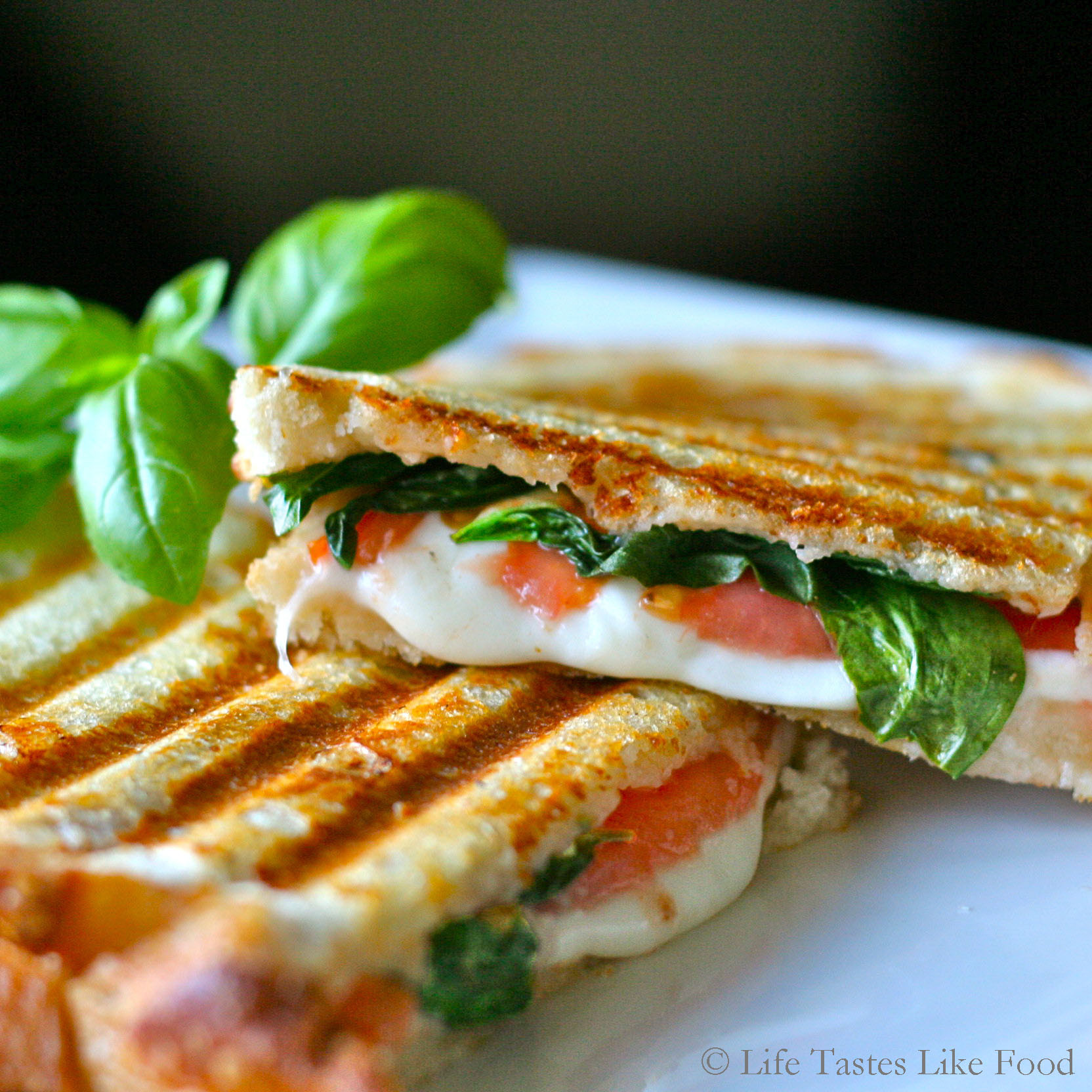 Recipe For Panini
 Easy Healthy Recipe Italian Panini