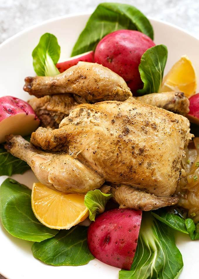 Recipes Cornish Game Hens
 Instant Pot Mini Cornish Game Hen