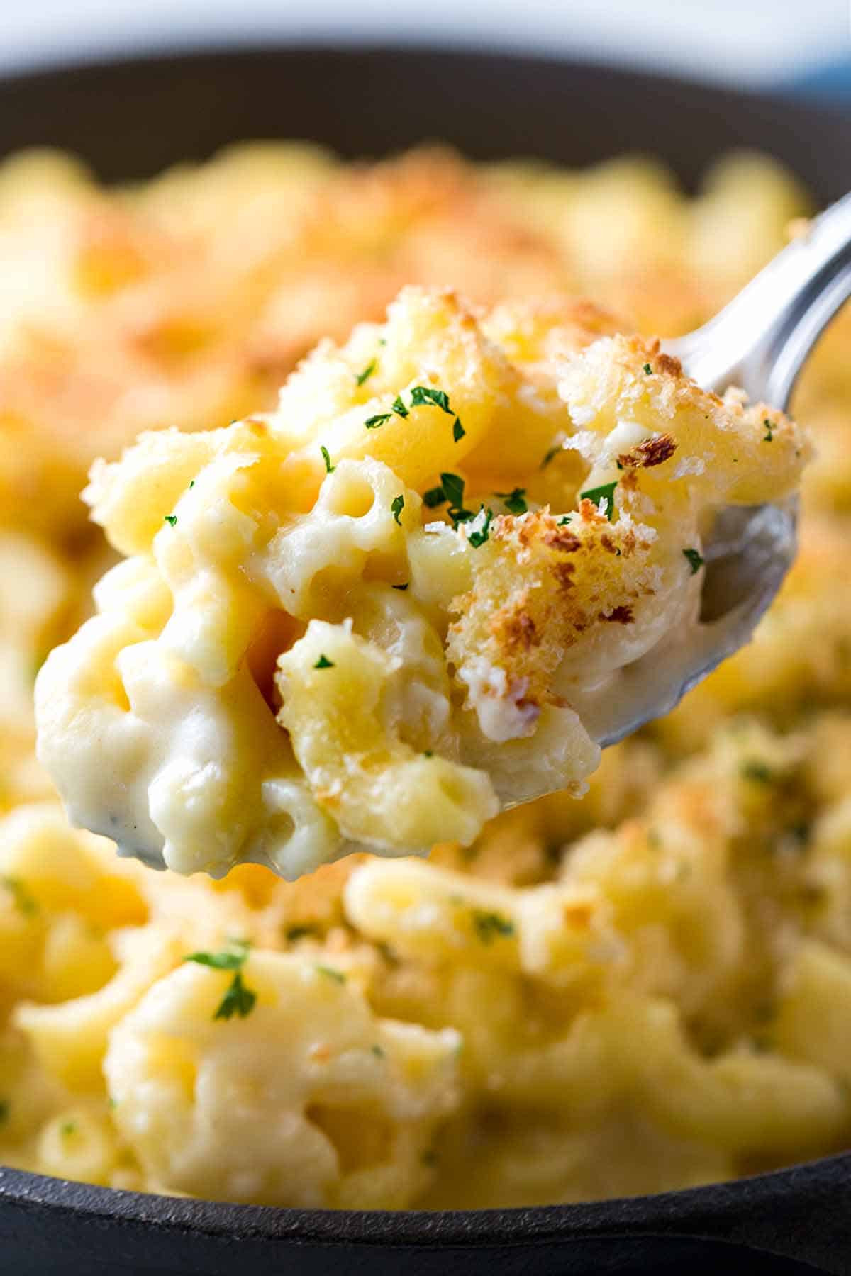 Recipes For Baked Mac And Cheese With Bread Crumbs
 Baked Macaroni and Cheese with Bread Crumb Topping