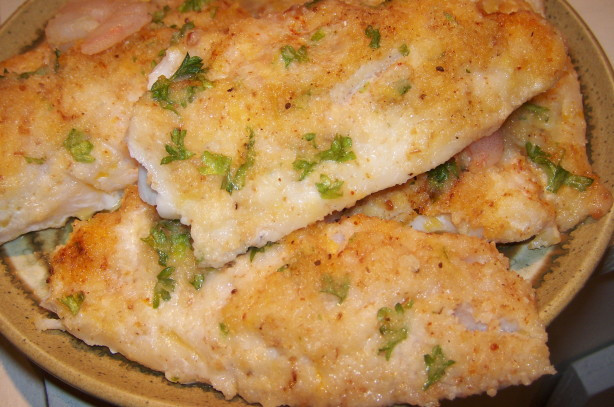 Recipes For Baking Fish Fillets
 Oven Baked Fish Fillets With Parmesan Cheese Recipe Food