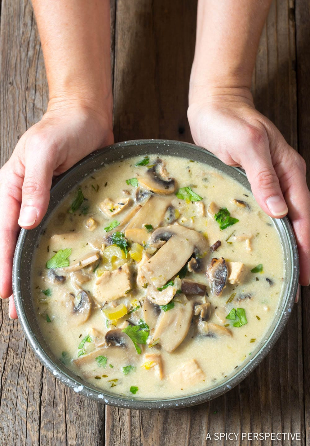 Recipes With Chicken And Cream Of Mushroom Soup
 Low Carb Chicken Mushroom Soup Video A Spicy Perspective