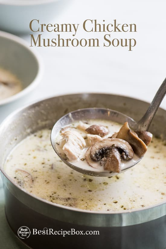 Recipes With Chicken And Cream Of Mushroom Soup
 Creamy Chicken Mushroom Soup