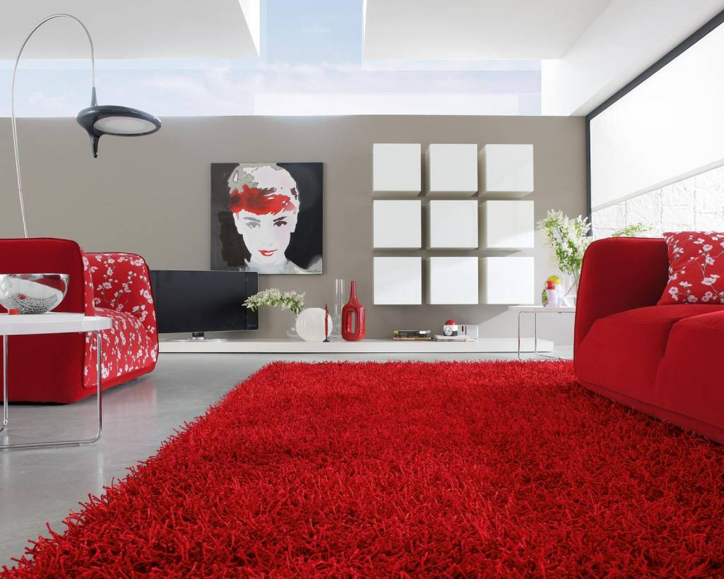 Red Rugs For Living Room
 Contemporary rugs for your living room