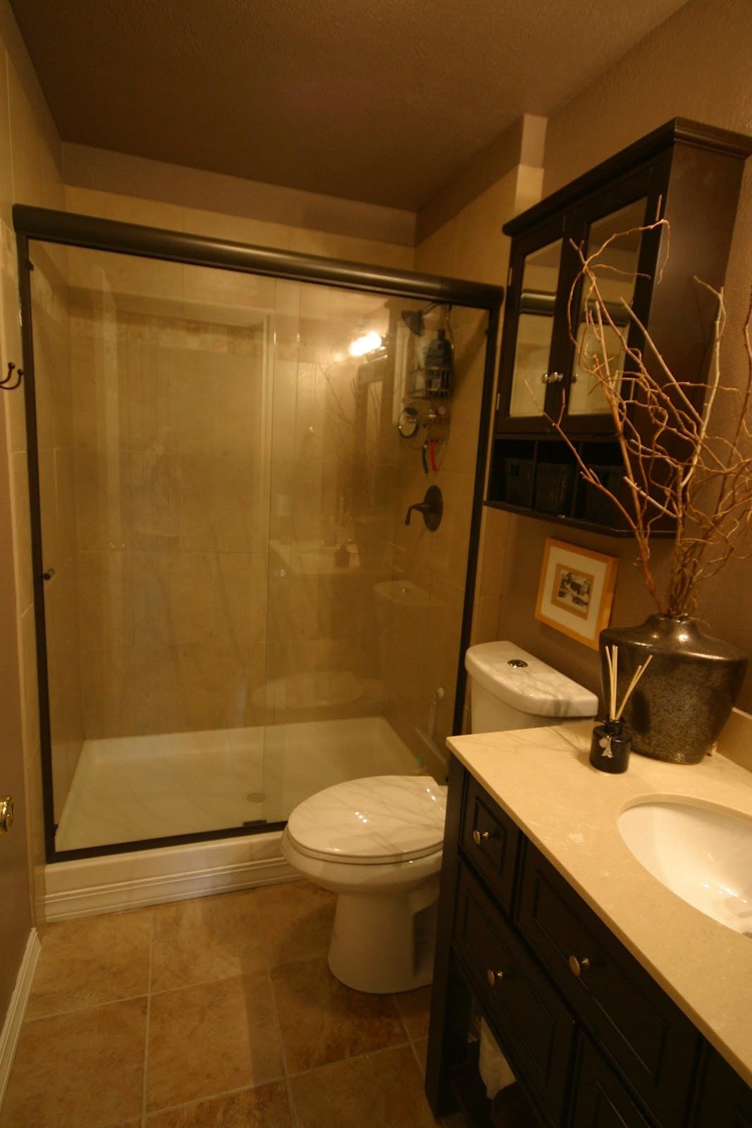 Remodel Small Bathroom With Shower
 Small Bathroom Remodels Maximal Outlook in Minimal Space