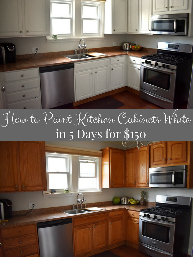 Repainting Kitchen Cabinets White
 How to Paint Kitchen Cabinets White in 5 Days for $150