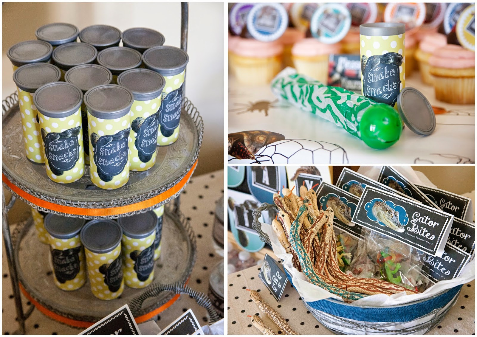 Reptile Party Food Ideas
 Melinda Bryant graphy A Reptile Birthday Party