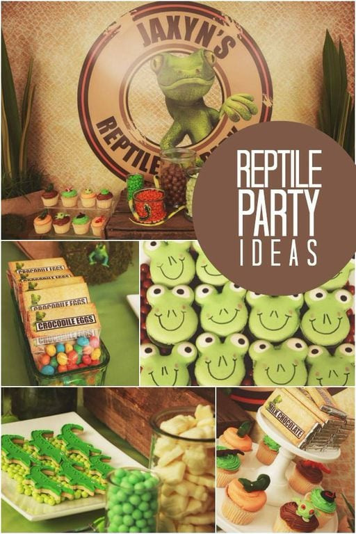 Reptile Party Food Ideas
 A Boy s Reptile Themed Birthday Party