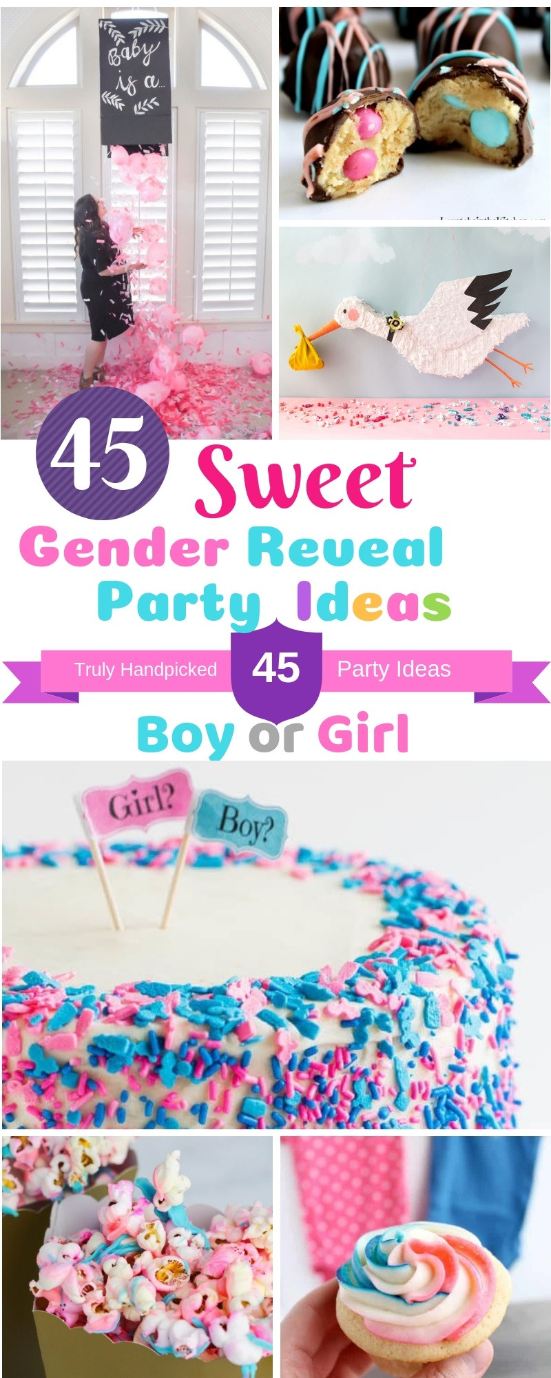 Reveal The Gender Party Ideas
 45 DIY Gender Reveal Party Ideas Creative and Sweet Ideas