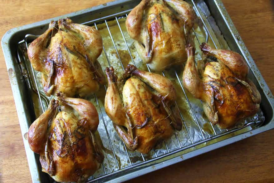 Roasted Cornish Game Hens Recipes
 Roasted Cornish Game Hens with Garlic Herbs and Lemon