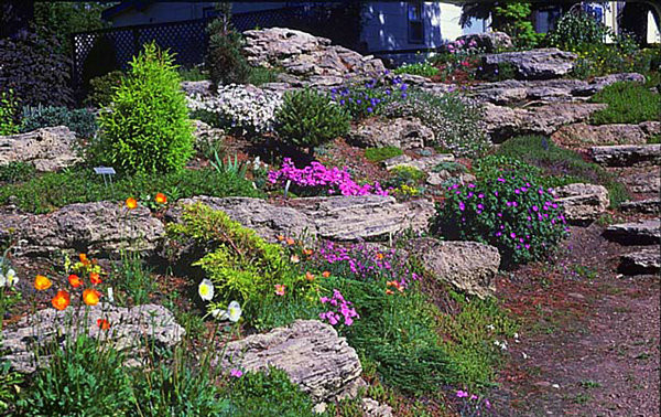 Rock Terrace Landscape
 20 Fabulous Rock Garden Design Ideas