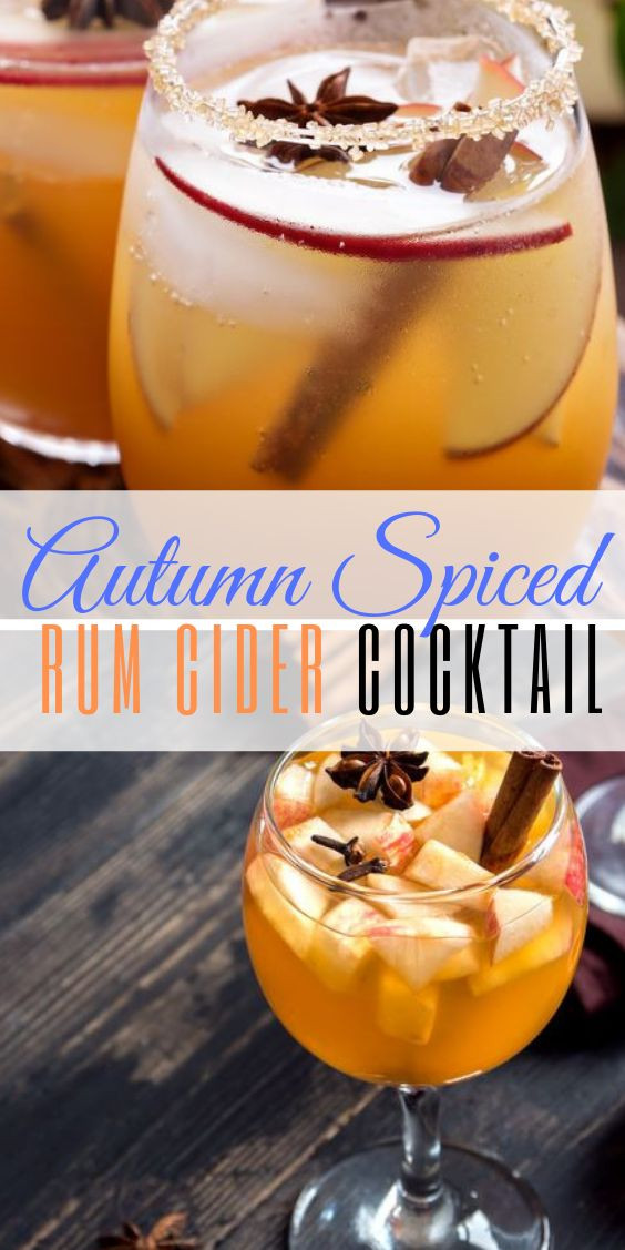 Rum Drinks For Fall
 Fresh Drink Autumn Spiced Rum Cider Cocktail