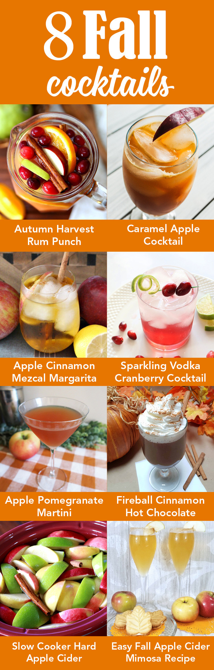 Rum Drinks For Fall
 Autumn Harvest Rum Punch The Best Fall Rum Punch