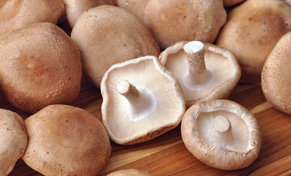 Sauteed Shiitake Mushrooms
 Sauteed Shiitake Mushrooms Recipe How to Cook Shiitake
