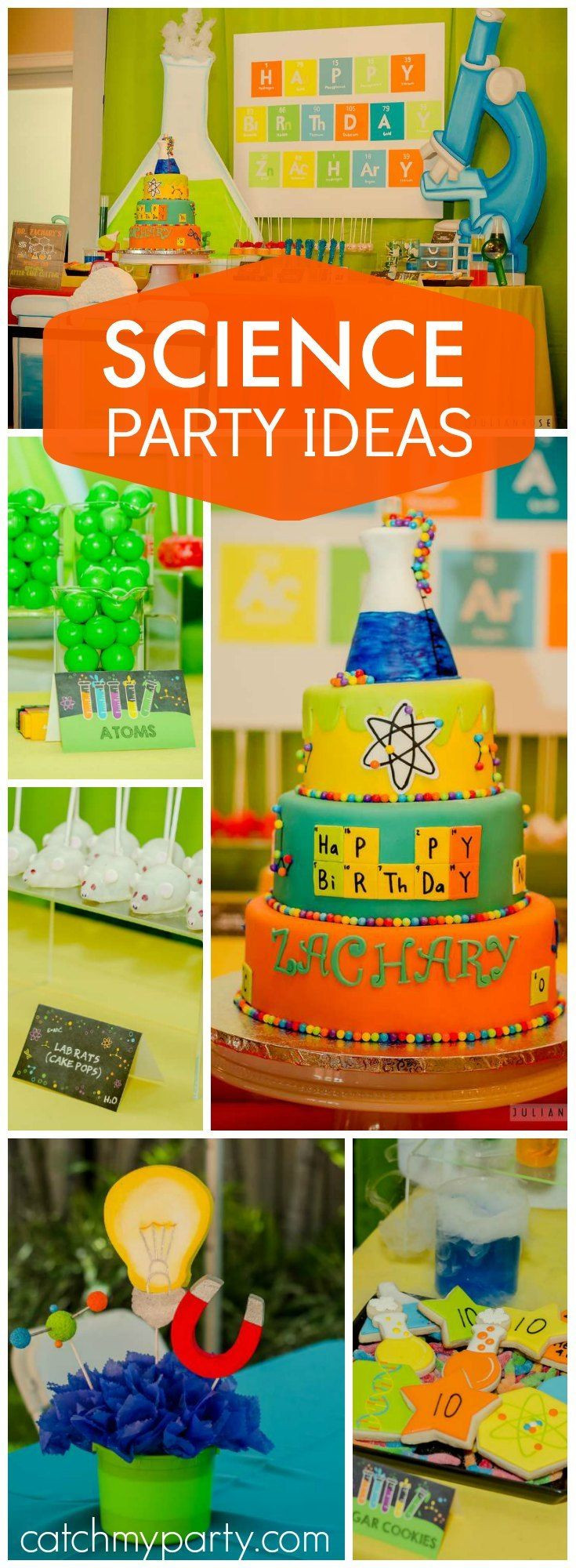 Science Birthday Party Ideas
 Science Birthday "Zachary s Lab"