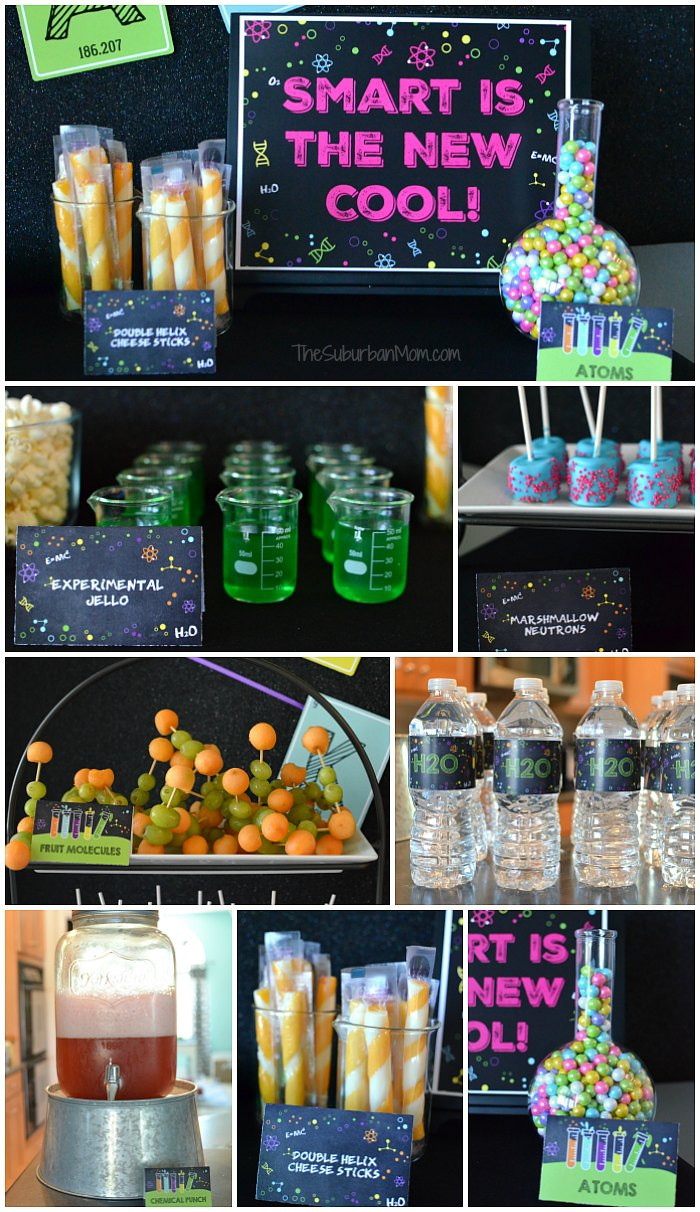 Science Party Food Ideas
 Science Birthday Party Ideas Printables Food