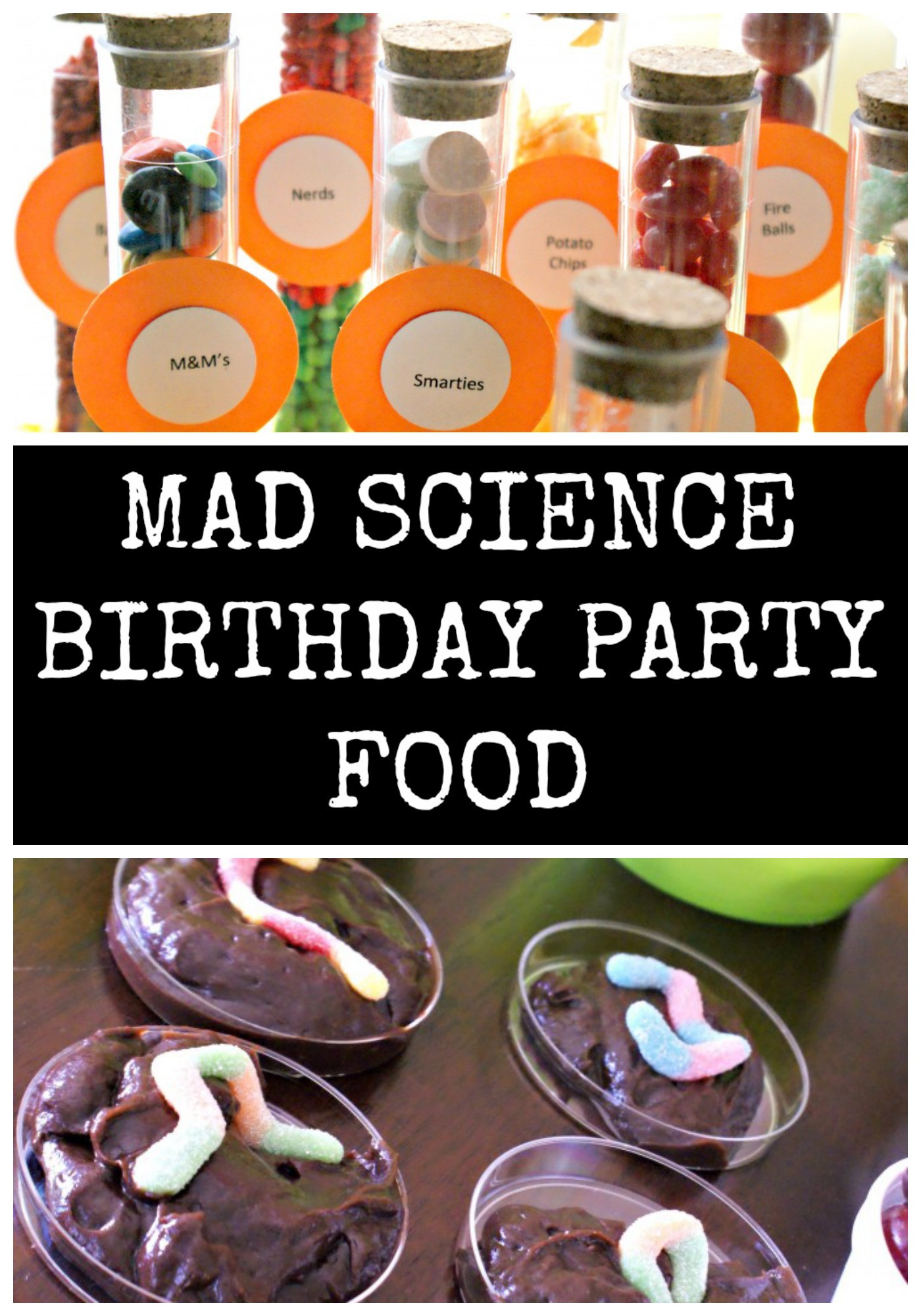 Science Party Food Ideas
 Mad Science Birthday Party The Decor & Food