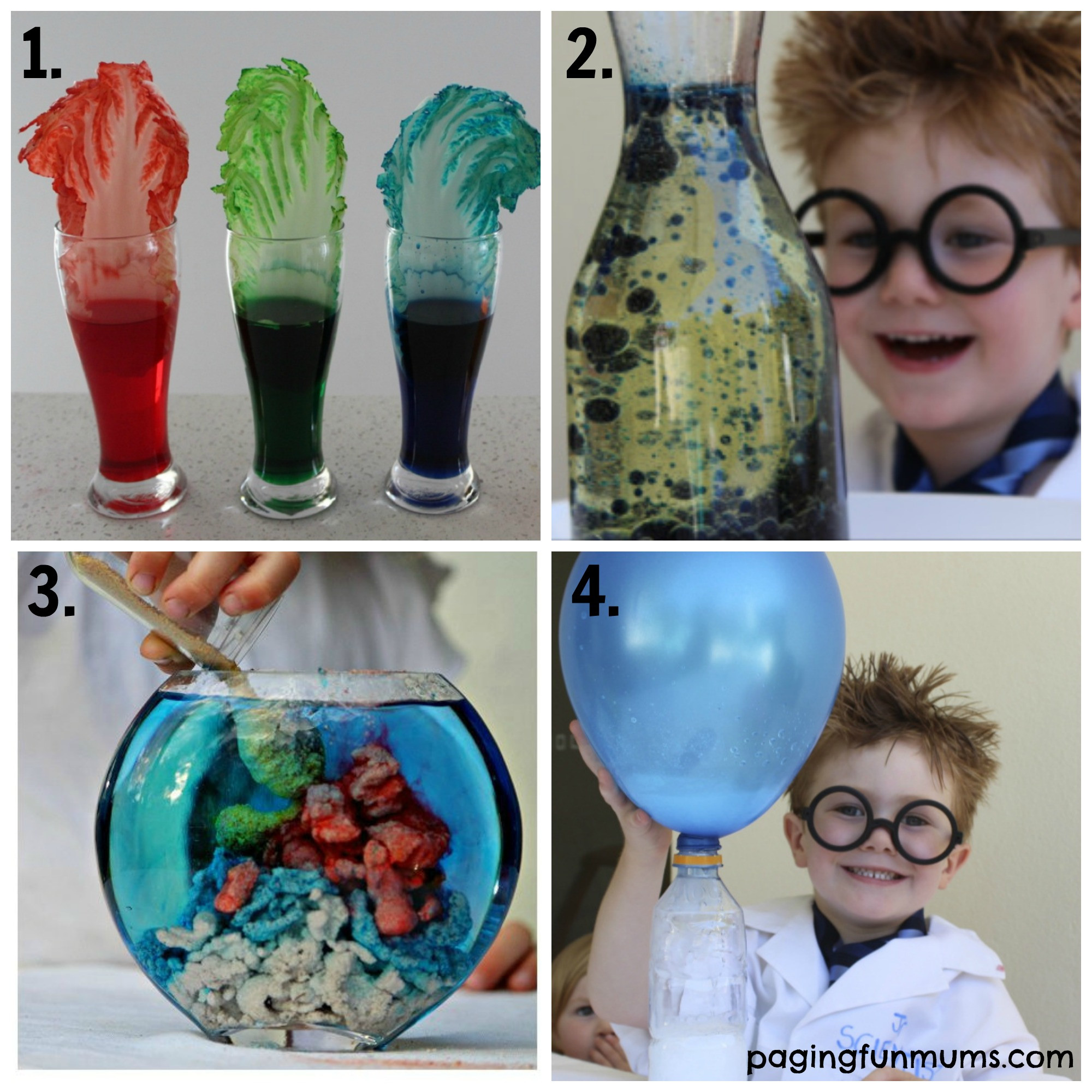 Scientific Crafts For Kids
 21 Fun Science Experiments for Kids 1 4 Paging Fun Mums