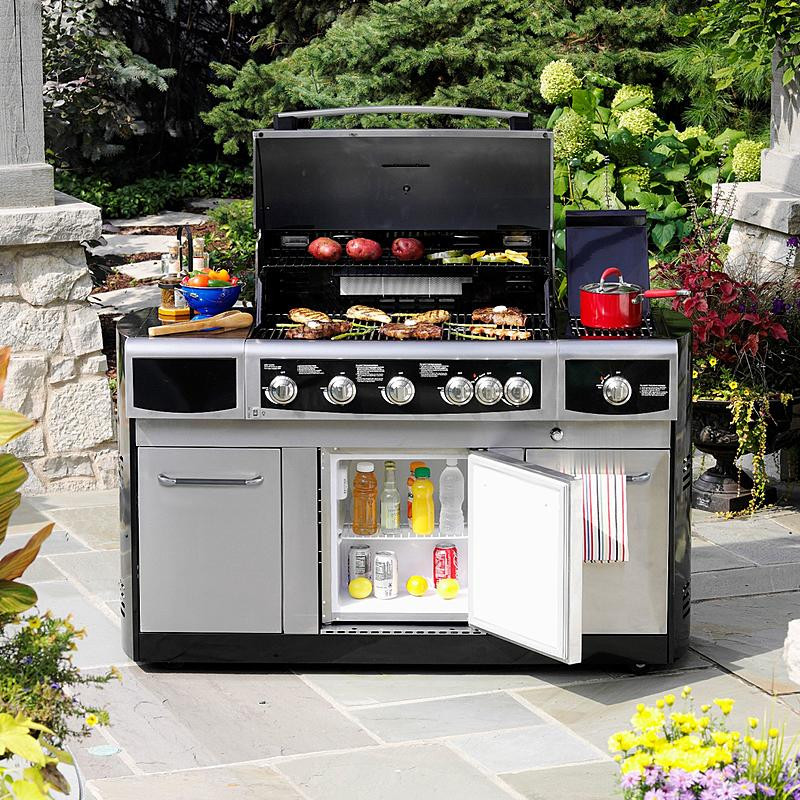 Sears Outdoor Kitchen
 Kenmore Elite 810 0010 4 Burner Gas Grill with