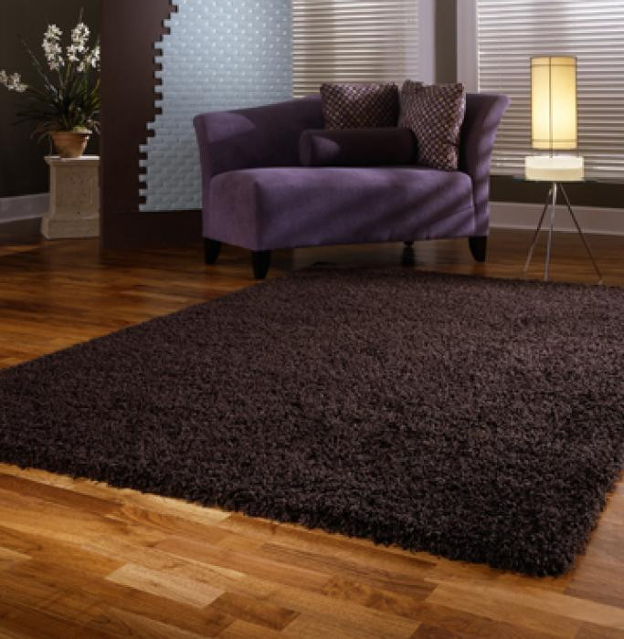 Shaggy Living Room Rugs
 BEST 10 ADORABLE SHAG AREA RUGS FOR CHIC LIVING ROOM
