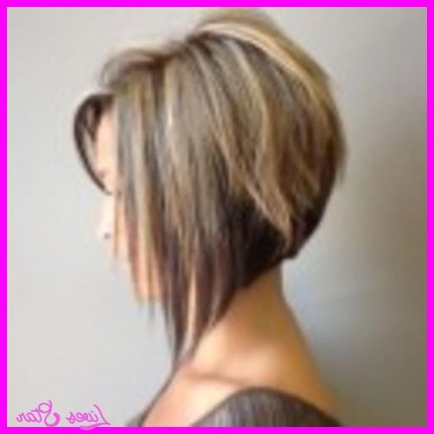 Short Back Long Front Haircuts
 2019 Popular Short In Back Long In Front