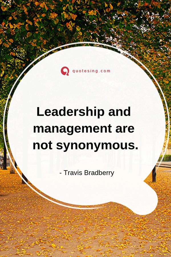Short Leadership Quote
 Short leadership quotes Funny leadership quotes Quotesing