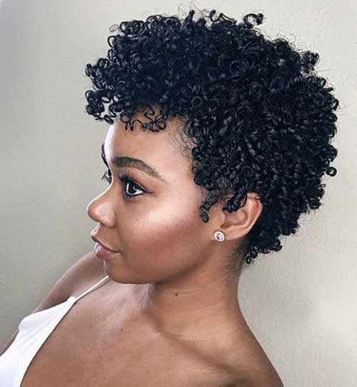 Short Natural Hairstyles Black Hair
 20 Short Natural Hairstyles for Black Women