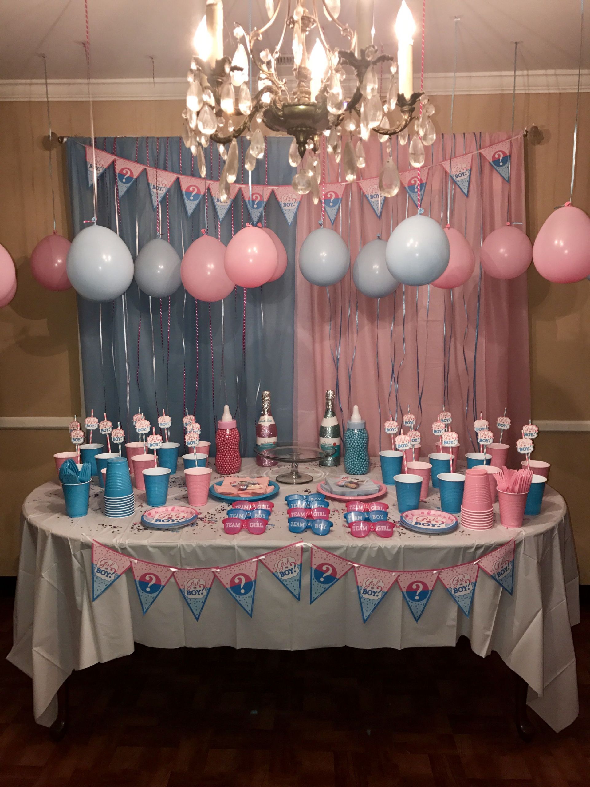 Simple Gender Reveal Party Ideas
 Gender Reveal Party
