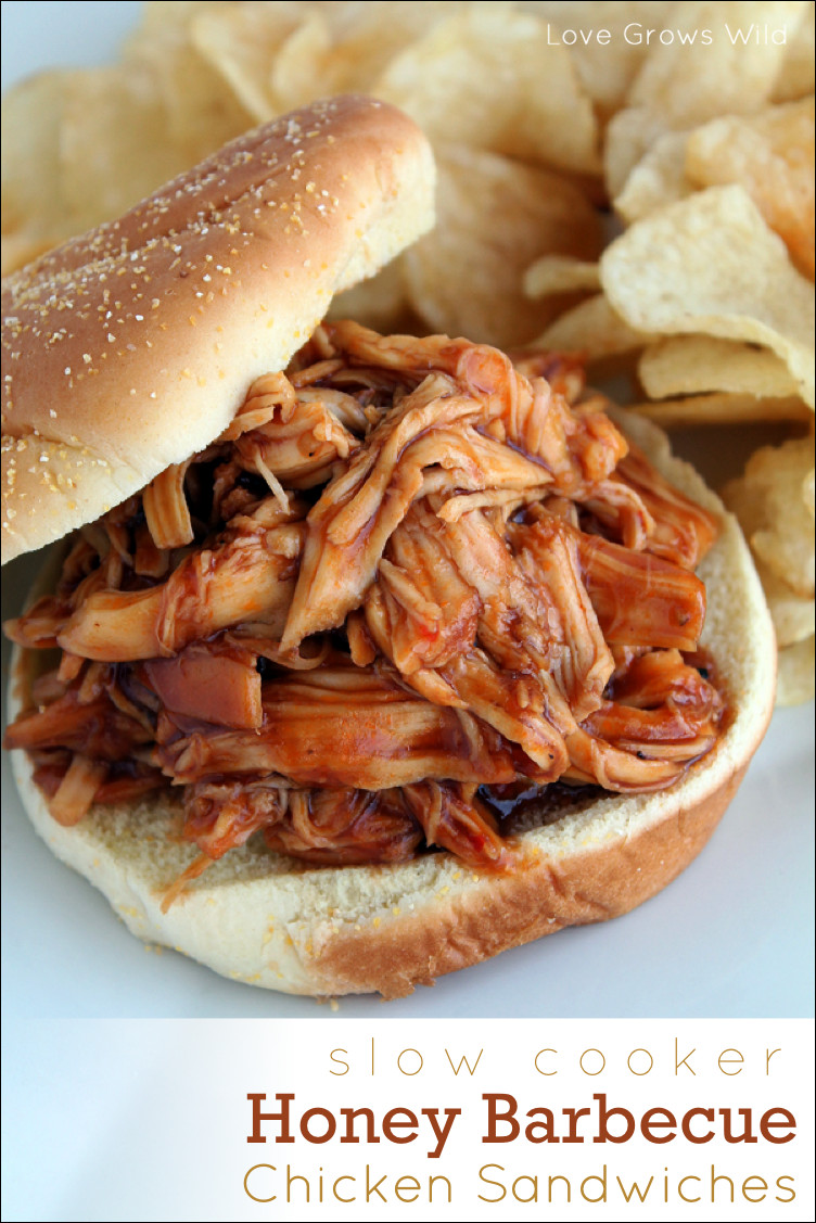 Slow Cooker Bbq Chicken Sandwiches
 Orange Lemon Shake ups Love Grows Wild