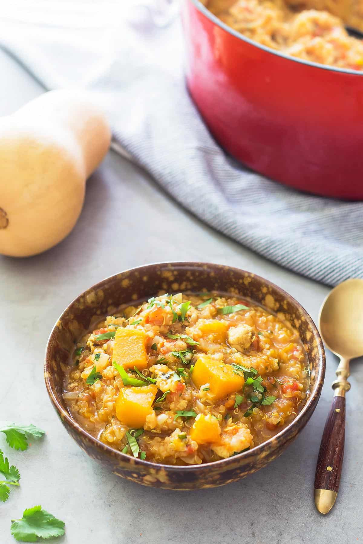 Slow Cooker Butternut Squash Stew
 Butternut Squash Chicken Stew VIDEO Slow Cooker Instant