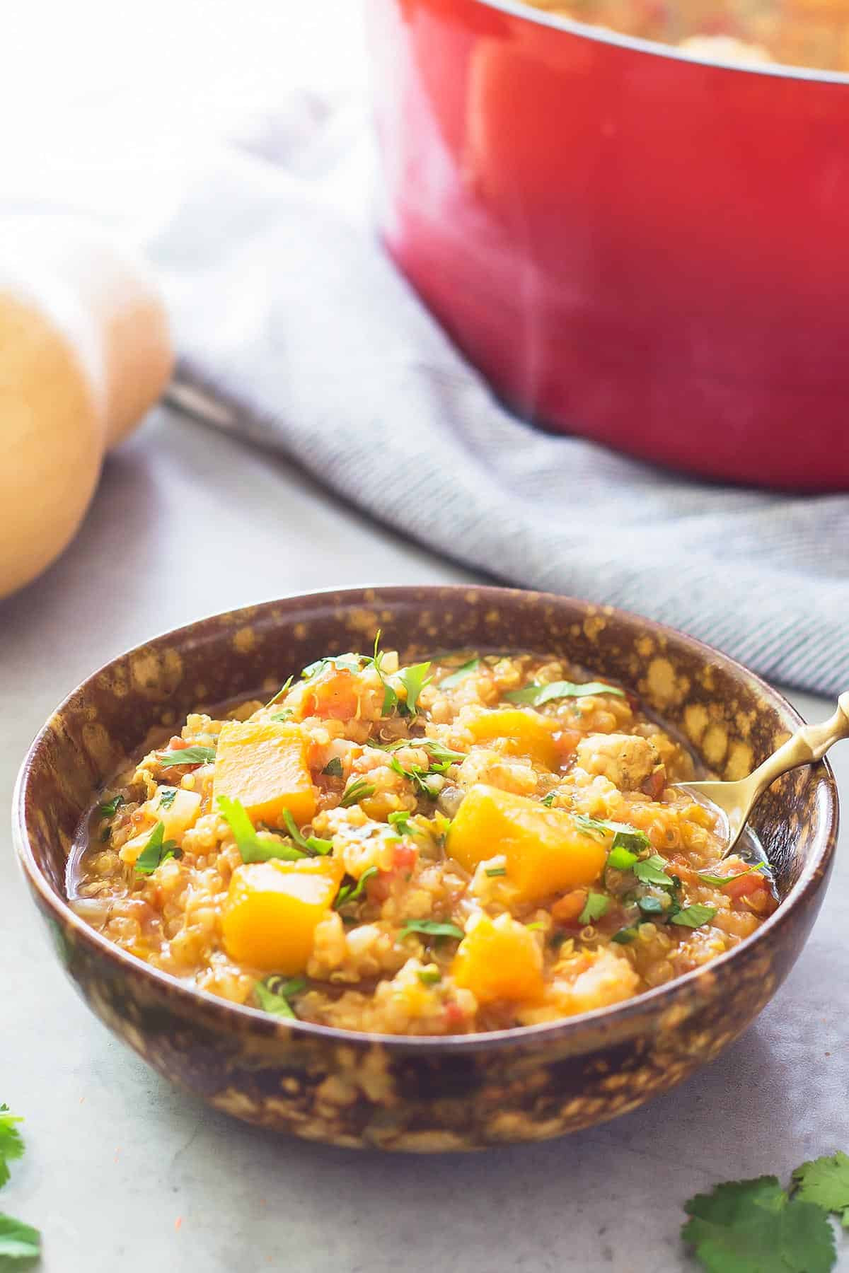 Slow Cooker Butternut Squash Stew
 Butternut Squash Chicken Stew VIDEO Slow Cooker Instant