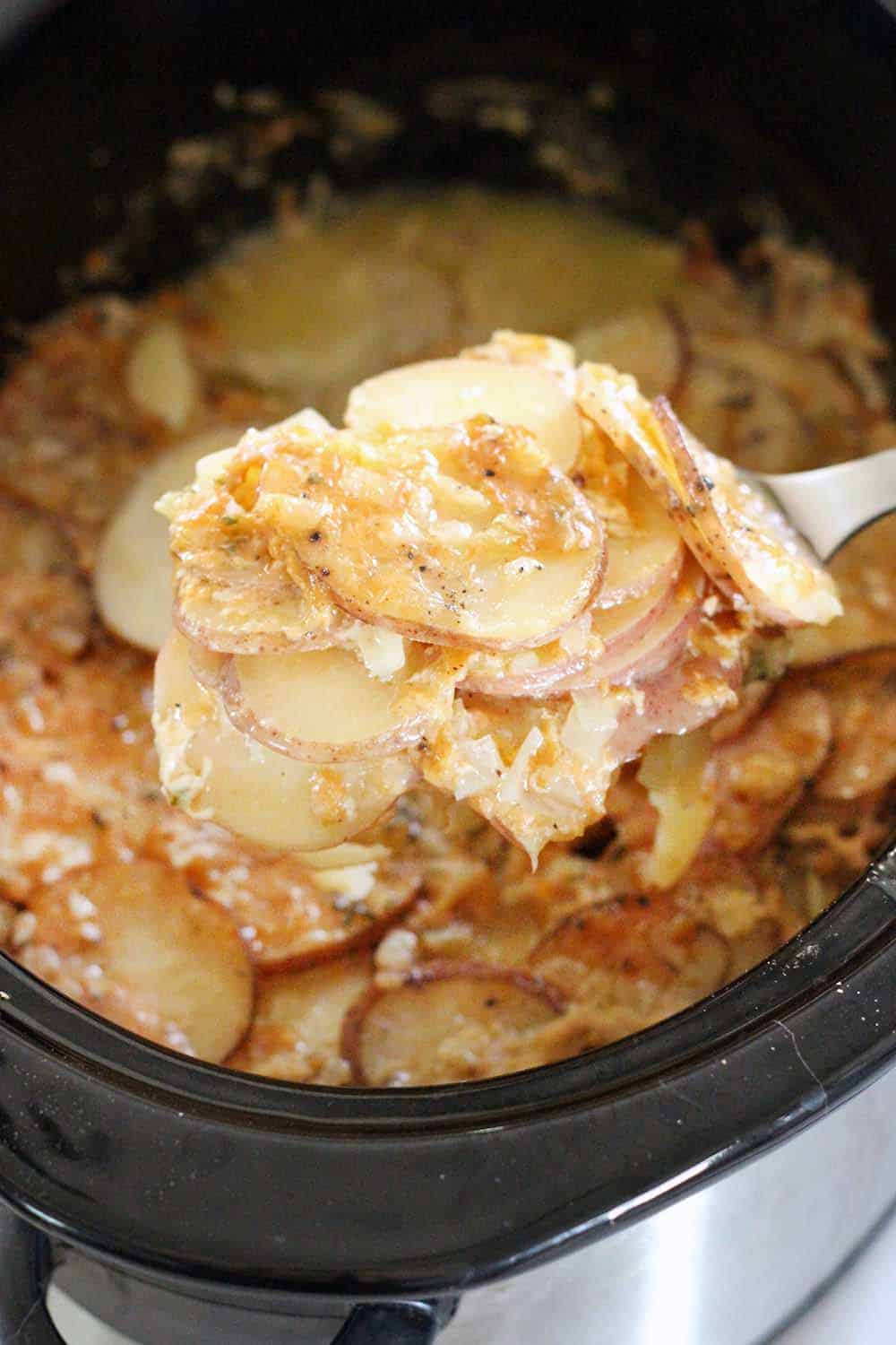 Slow Cooker Scalloped Potatoes No Cheese
 quick scalloped potatoes no cheese