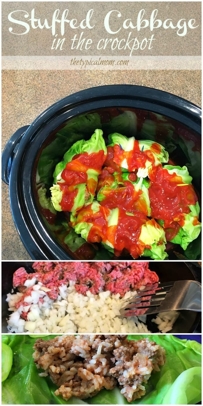 Slow Cooker Stuffed Cabbage
 Slow Cooker Stuffed Cabbage · The Typical Mom