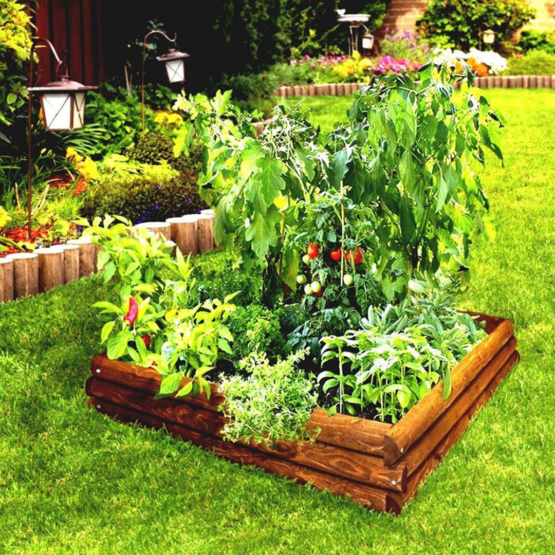 Small Backyard Garden Ideas
 35 Advantageous Small Ve able Garden Ideas for Your