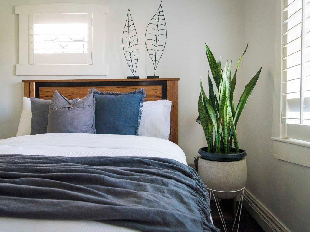 Small Bedroom Plants
 Best Plants for Your Bedroom to Help You Sleep Sleep Wooven