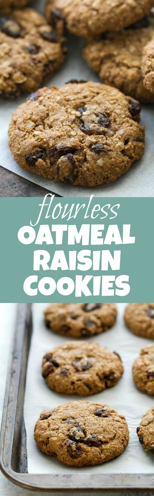 Soft Oatmeal Raisin Cookies Recipes
 Soft & Chewy Flourless Oatmeal Raisin Cookies
