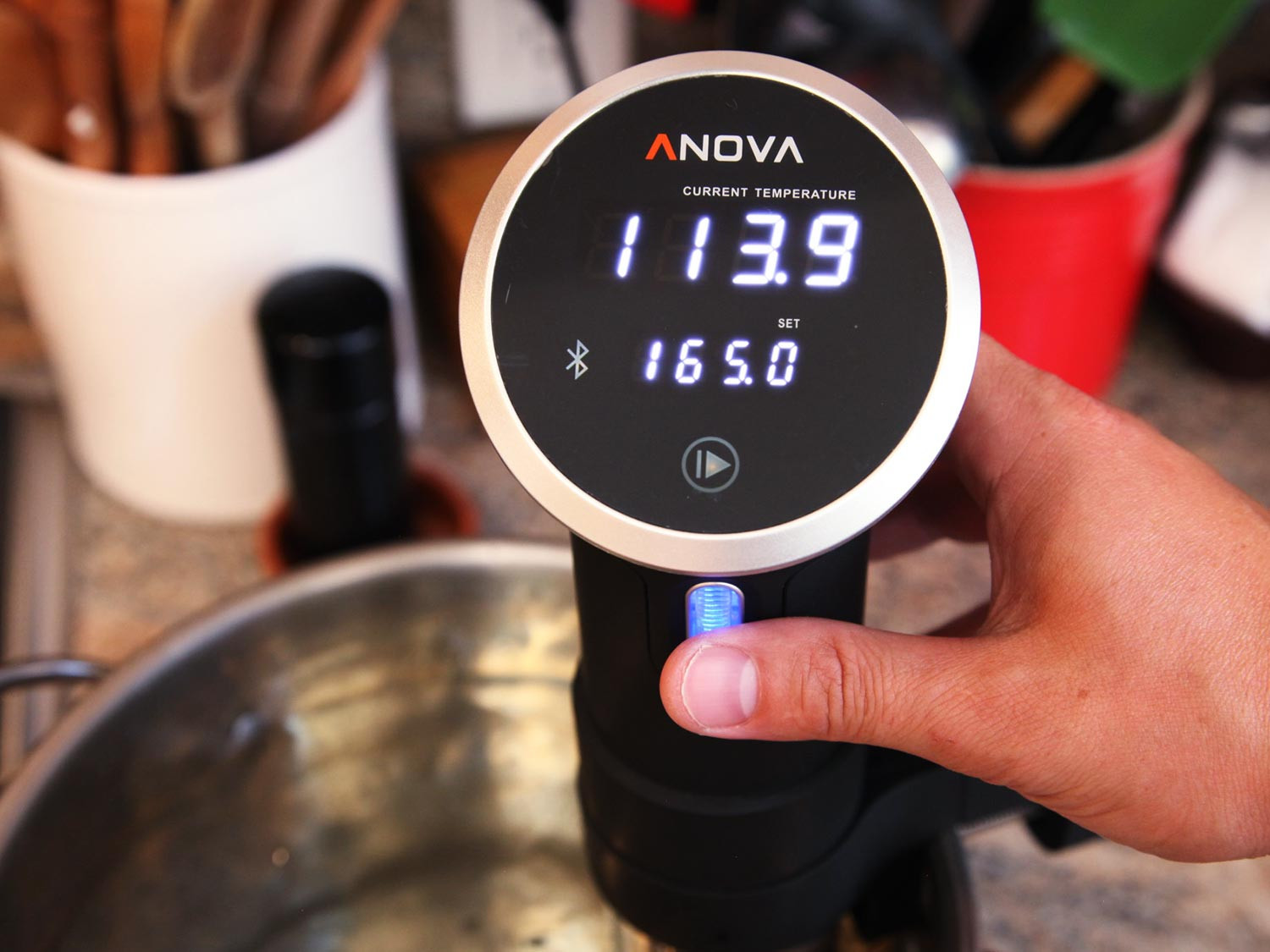 Sous Vide Chicken Thighs Temperature
 Sous Vide Chicken Thigh