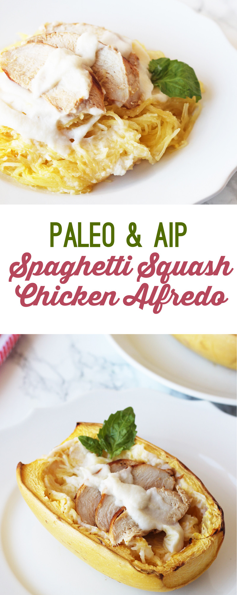 Spaghetti Squash And Chicken Recipes Paleo
 Paleo Spaghetti Squash Chicken Alfredo AIP & Dairy Free