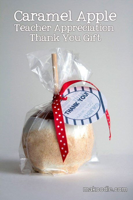 Special Thank You Gift Ideas
 23 Handmade Gift Ideas for the Special People in YOUR Life