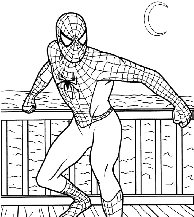 Spiderman Coloring Pages For Kids
 line Headlines Magazine Spiderman coloring pictures